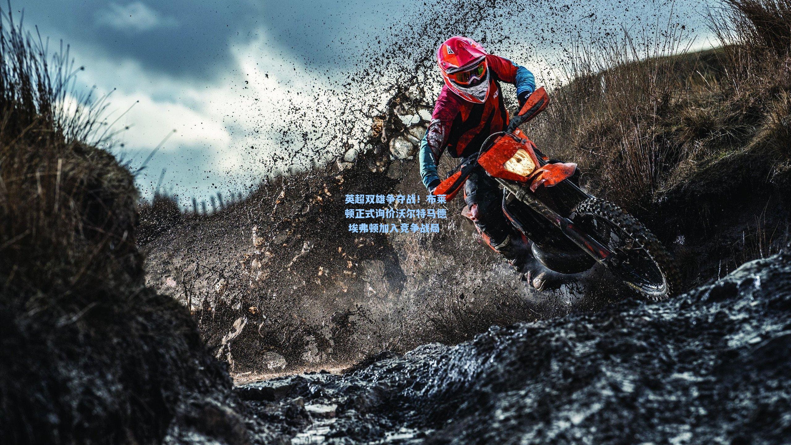 英超双雄争夺战!布莱顿正式询价沃尔特马德 埃弗顿加入竞争战局