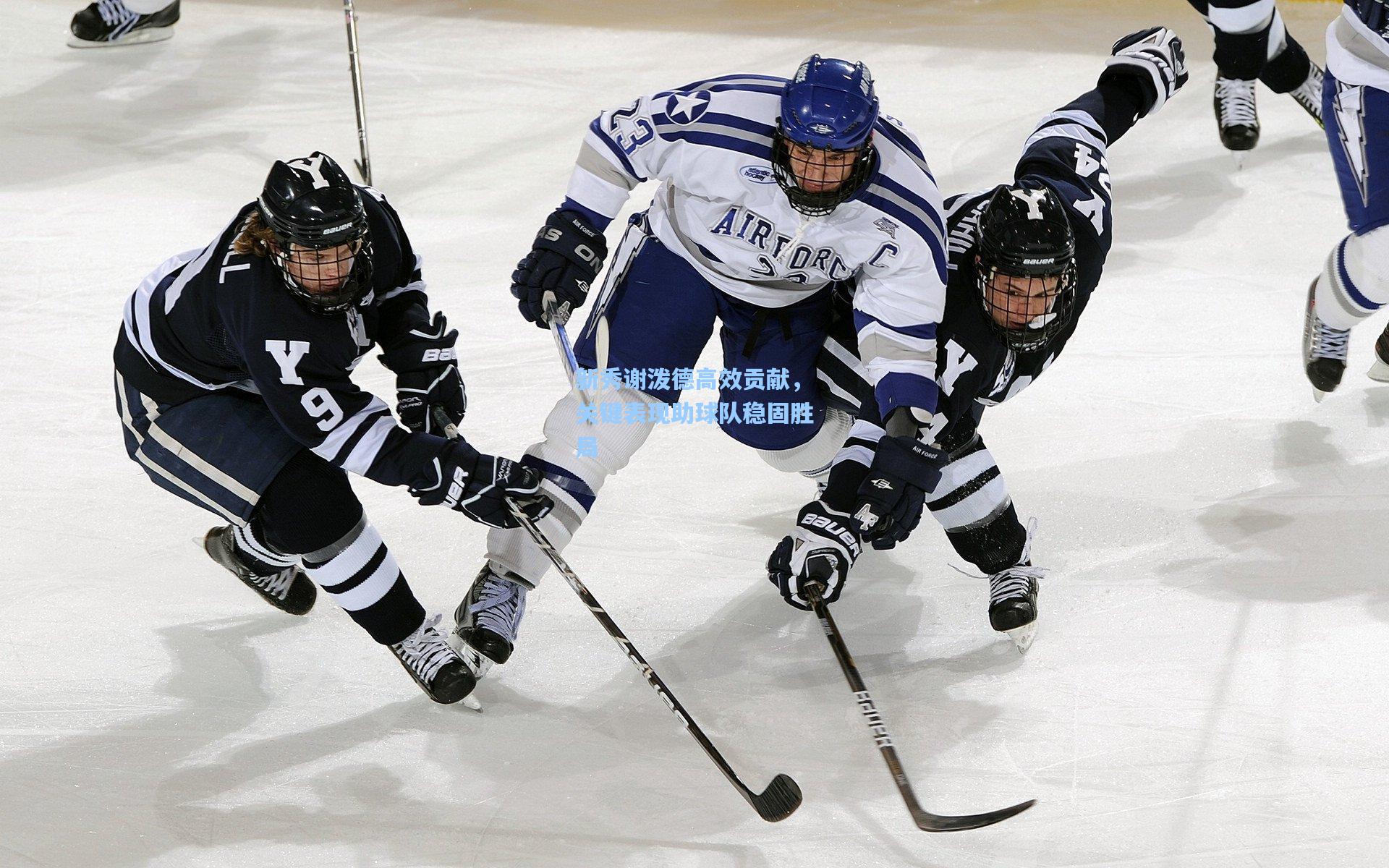 新秀谢泼德高效贡献，关键表现助球队稳固胜局